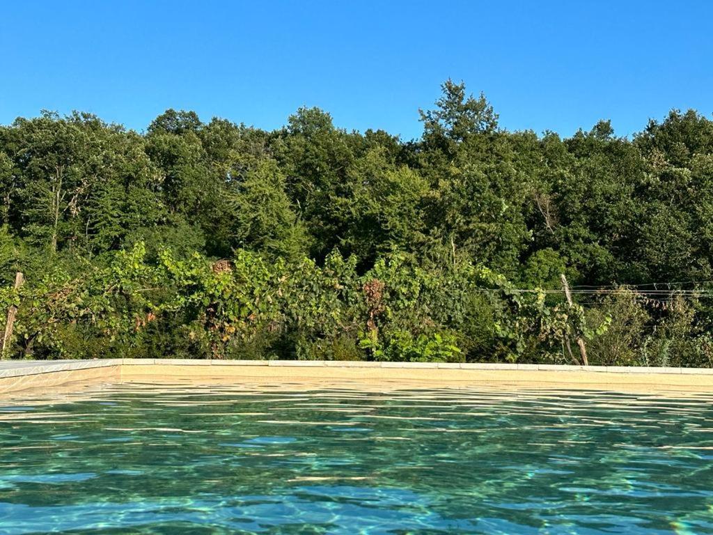 Bosco Romagno Villa ชิวีดาเล เดล ฟรีอูลี ภายนอก รูปภาพ